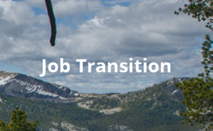Text: Job Transition